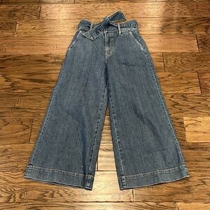 Joie Marylu Tie Culottes Wide Leg Ankle High Rise Size 2